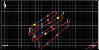 Figure 4: MapView showing linear features (blue and pink) and point targets (yellow).